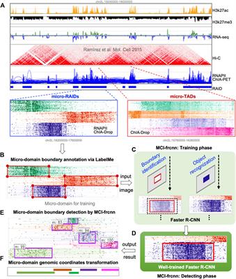 MCI-frcnn: A deep learning method for topological micro-domain boundary detection